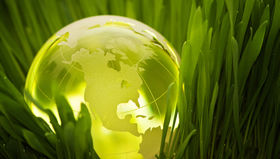 Environmental Sustainability